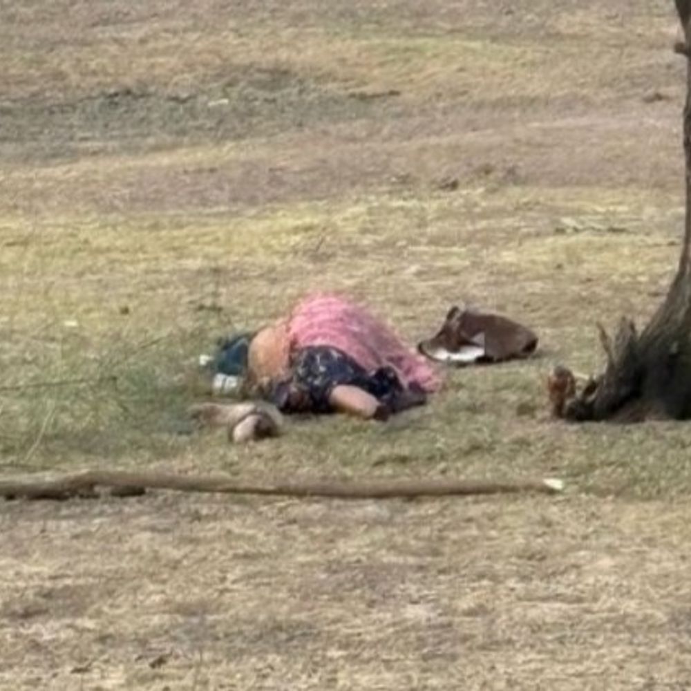 पाली में जंगल में मिली महिला की पैर कटी लाश:  गहनों के लिए हत्या करने की आशंका, पुलिस जुटी जांच में – Pali (Marwar) News