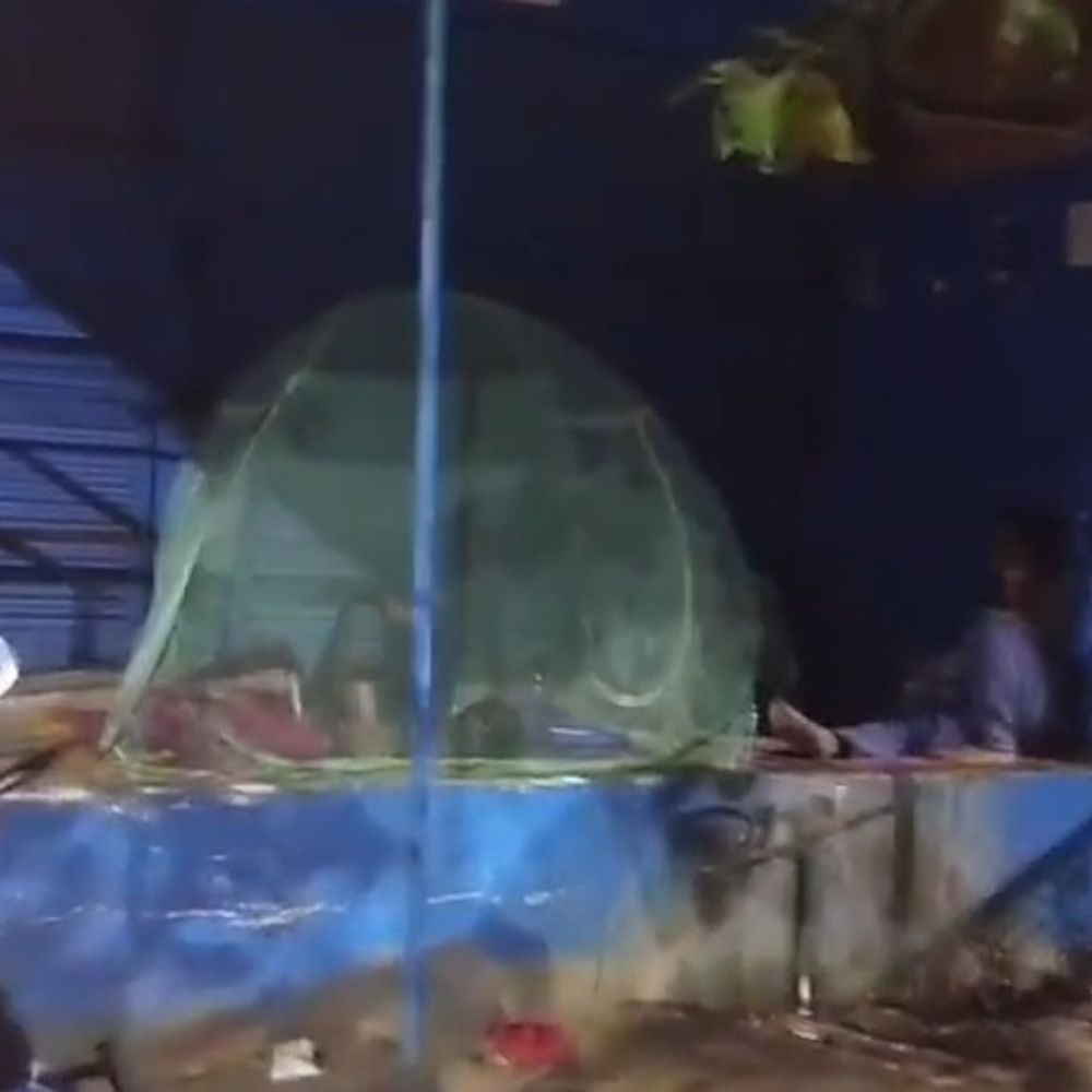 गैस एजेंसी के बाहर मच्छरदानी लगाकर सोए लोग:सिलेंडर के लिए रोड पर बितानी पड़ी रात, सुबह जल्द नंबर आने की उम्मीद