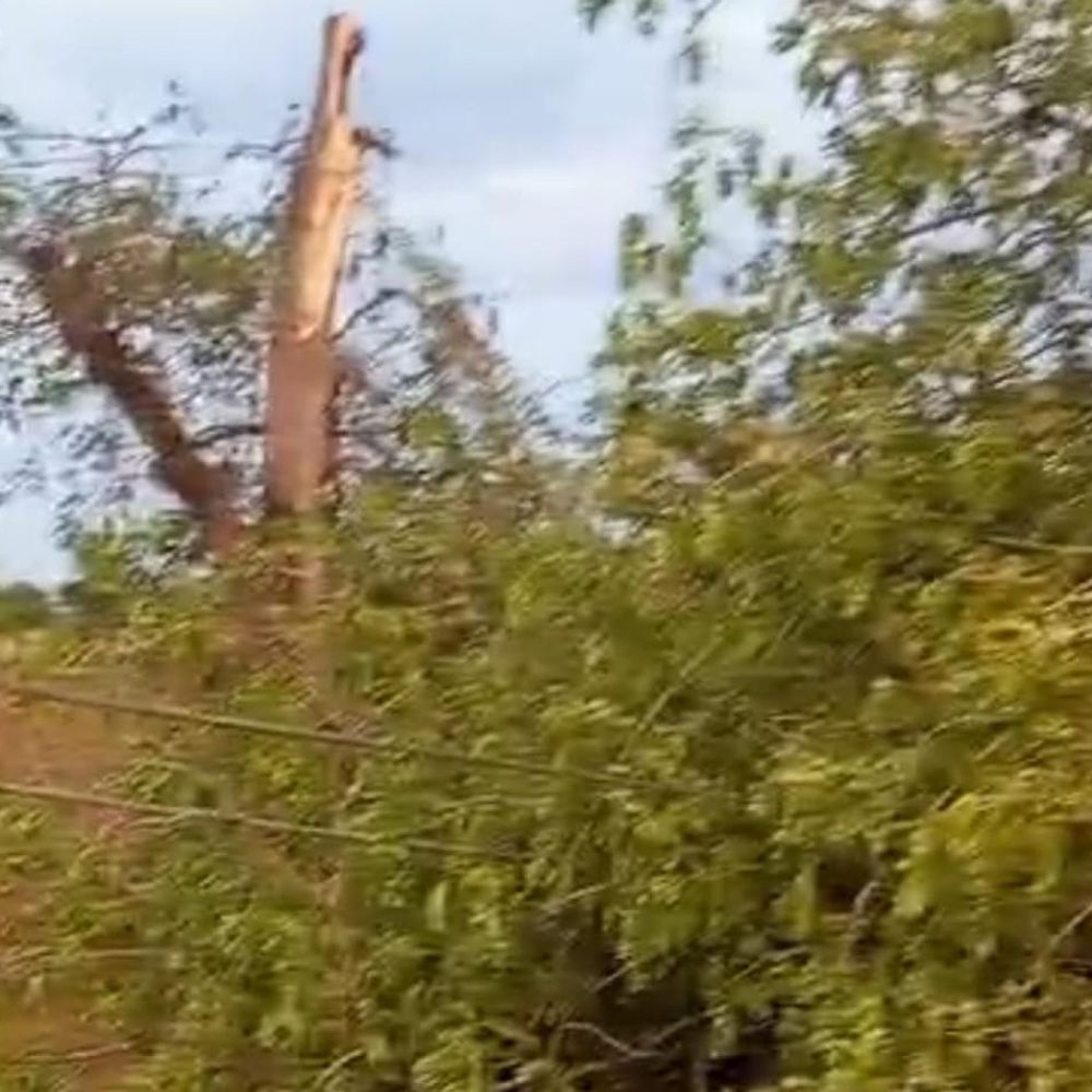 आंधी से पेड़ गिरा, 30 गांवों की बिजली गुल:जालौन में रात भर अंधेरे में रहे ग्रामीण, पीने के पानी की भी परेशानी रही