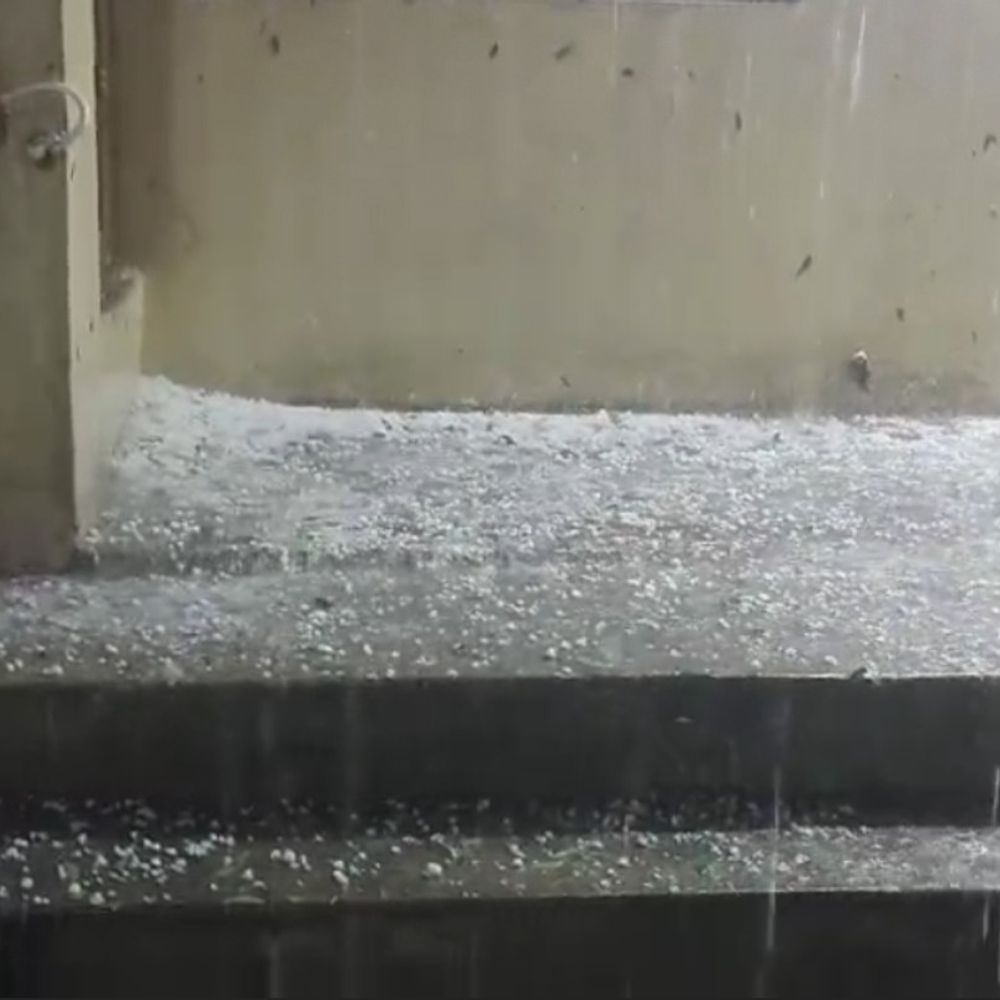 जालौन में ओलावृष्टि से फसलें चौपट:गेहूं, चना, सरसों और मटर की उपज प्रभावित, किसानों ने की मुआवजे की मांग