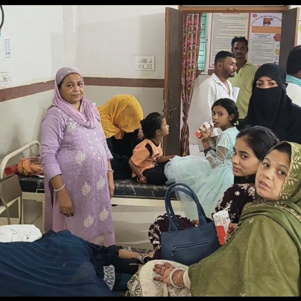 हरदा में मधुमक्खी के हमले में 11 लोग घायल:  पिपलानी जा रही बारात पर हमला; ड्राइवर भागा, अस्पताल में भर्ती – Harda News