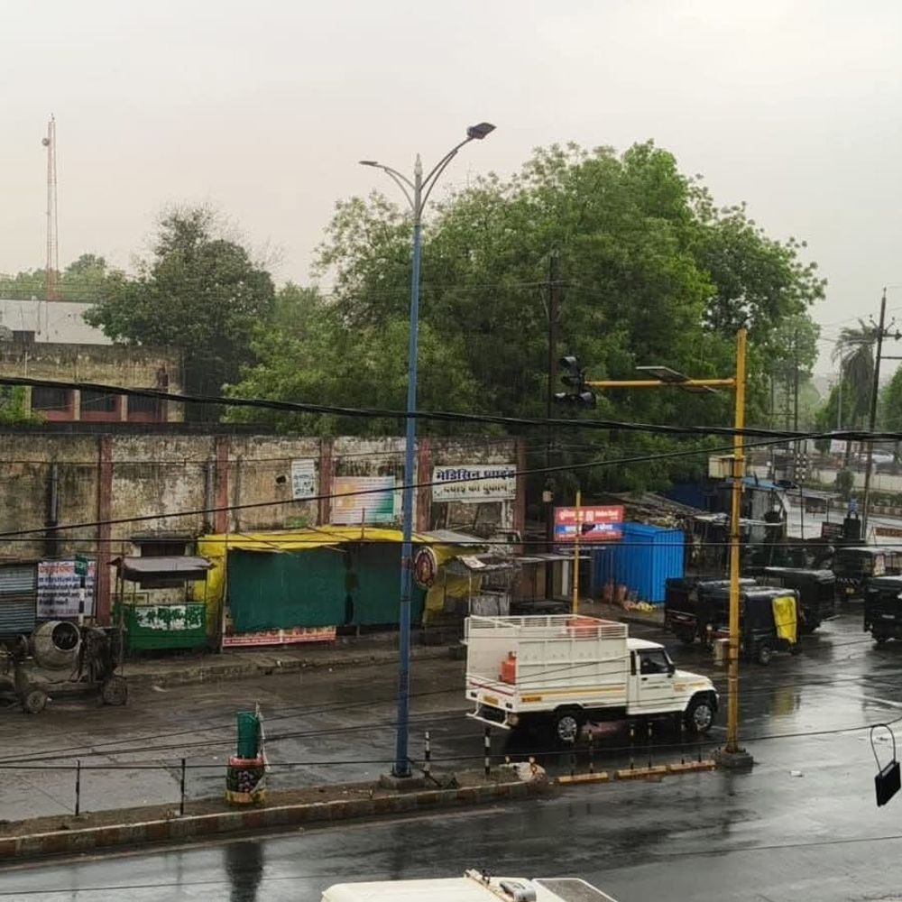 सिंगरौली में बेमौसम बारिश से किसानों को चिंता:गेहूं की फसल पककर तैयार, नुकसान की आशंका; अगले दो दिनों तक बारिश की संभावना