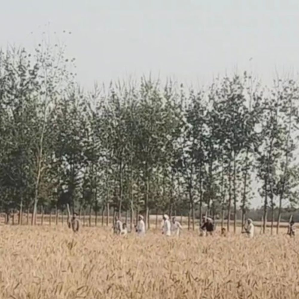 हरदोई में खेत के विवाद में मारपीट का VIDEO:एक पक्ष से चार और दूसरे पक्ष के तीन लोगों पर मुकदमा दर्ज