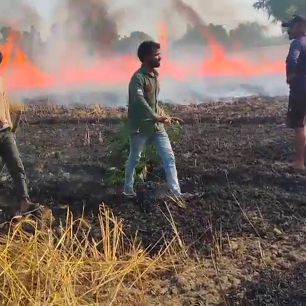 बाराबंकी में गेहूं की फसल में लगी भीषण आग:10 बीघा फसल जलकर राख, किसानों को भारी नुकसान
