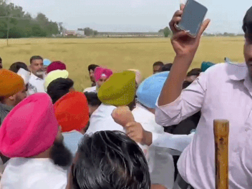MLA राणा से AAP वर्करों की धक्कामुक्की, VIDEO:  कपूरथला में गेहूं के खेत में समर्थकों ने एक-दूसरे को पीटा; फायरिंग की आवाज सुन भागे – Kapurthala News