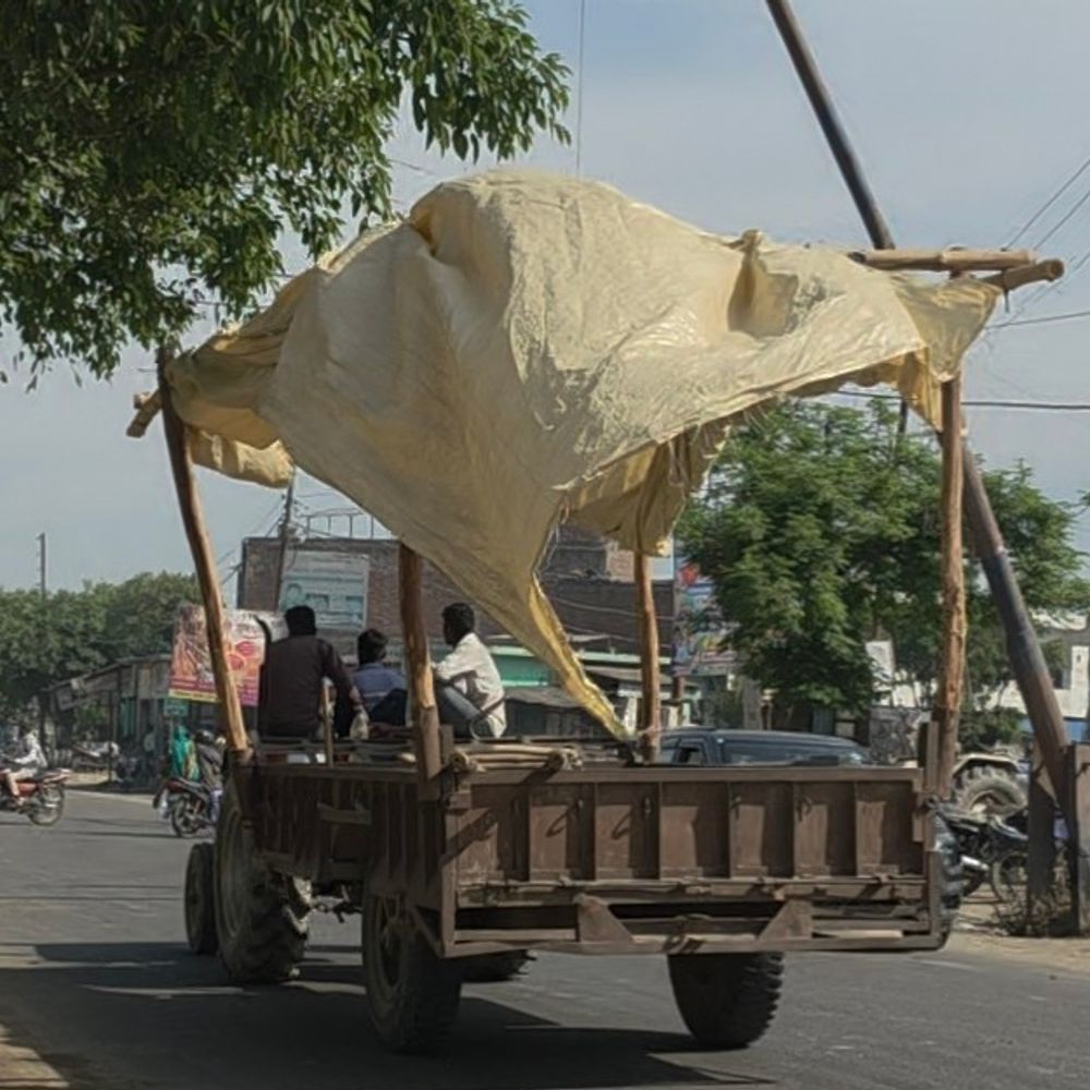 संभल में बेमौसम बारिश से गेहूं की फसल गिरी:संभल-चंदौसी में 60 प्रतिशत नुकसान, गुन्नौर में किसानों ने कटाई शुरू की