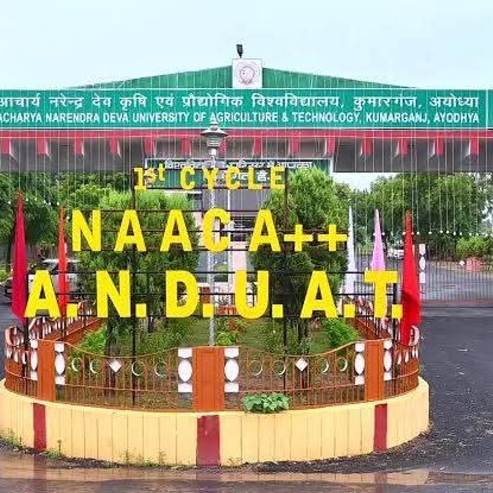 कृषि विश्वविद्यालय कुमारगंज में शिक्षा-शोध कार्य ठप:शिक्षक प्रशासनिक पदों पर, छात्रों की पढ़ाई प्रभावित