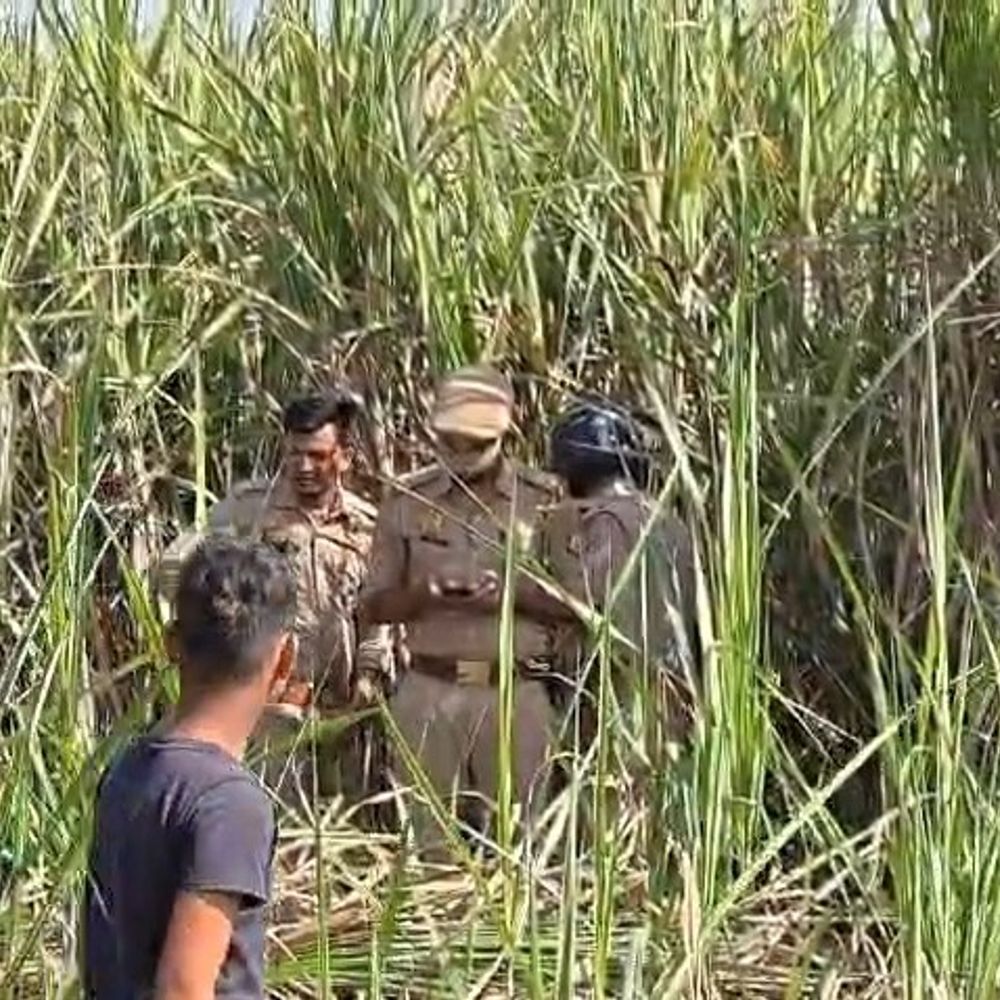 5 दिन से लापता युवती की खेत में मिली लाश:गोंडा में प्रेम प्रसंग में हत्या की आशंका, खुलासे को 4 टीमें लगीं