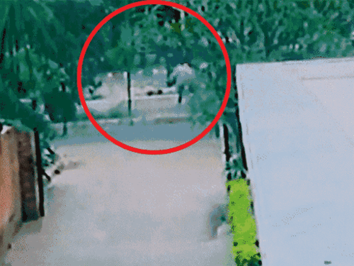चंडीगढ़ पुलिस की सिक्योरिटी एक्सपोज:  रिटायर्ड SP बोले- कहावत थी कि यहां क्राइम संभव लेकिन भागना नामुमकिन, वह चीज होनी चाहिए – Chandigarh News