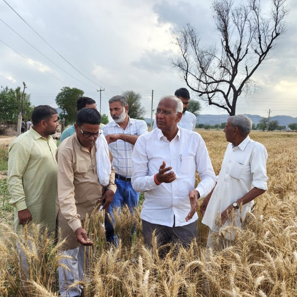महेंद्रगढ़ विधायक ने ओलावृष्टि प्रभावित फसलों का जायजा लिया:  किसानों से बातचीत कर समस्याएं सुनीं, मुआवजा दिलानें का आश्वासन दिया – Mahendragarh News