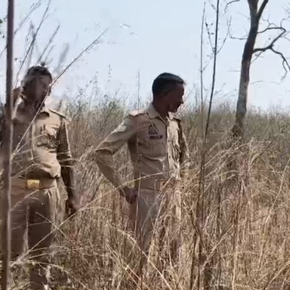 सोनभद्र के डम-डम जंगल में महिला का शव बरामद:सूचना के बाद लोगों की भीड़ जुटी, चोपन पुलिस ने निरीक्षण कर शिनाख्त शुरू की