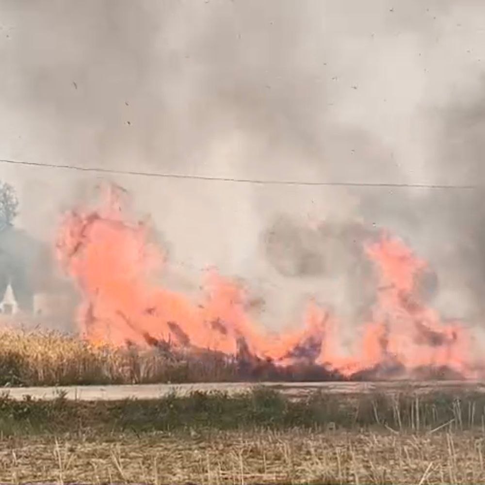 प्रतापगढ़ शॉर्ट सर्किट से 7 बीघा गेहूं की फसल जली:किसानों को लाखों का नुकसान, मुआवजे की मांग