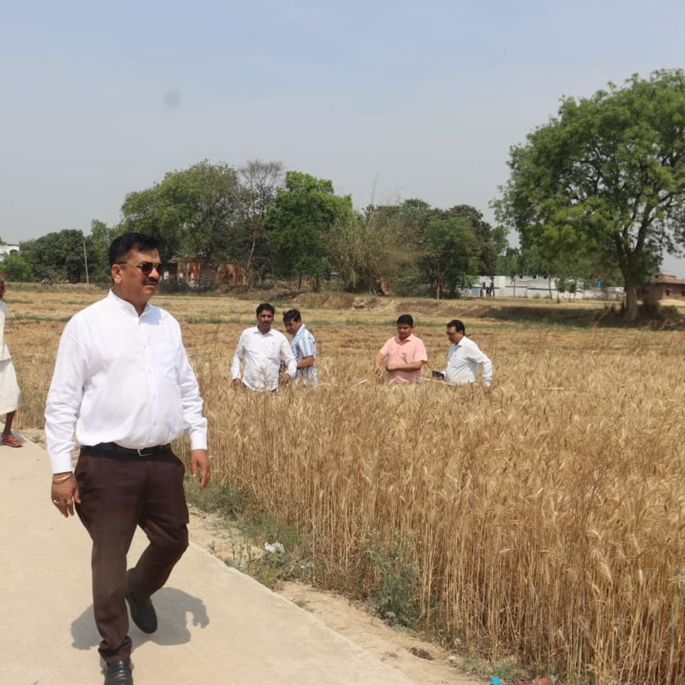 खेत पहुंचे डीएम फसल कटाई का किया निरीक्षण:जौनपुर में गेहूं की उपज का आकलन हुआ, बोले- आंकड़ों में गड़बड़ी बर्दाश्त नहीं