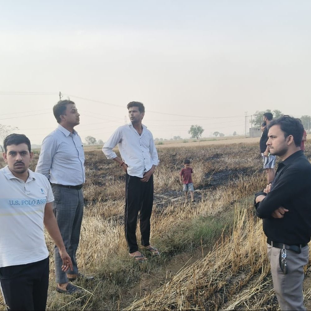 मथुरा में बिजली के तारों से लगी आग:24 बीघा गेहूं की फसल जलकर राख, किसानों को भारी नुकसान