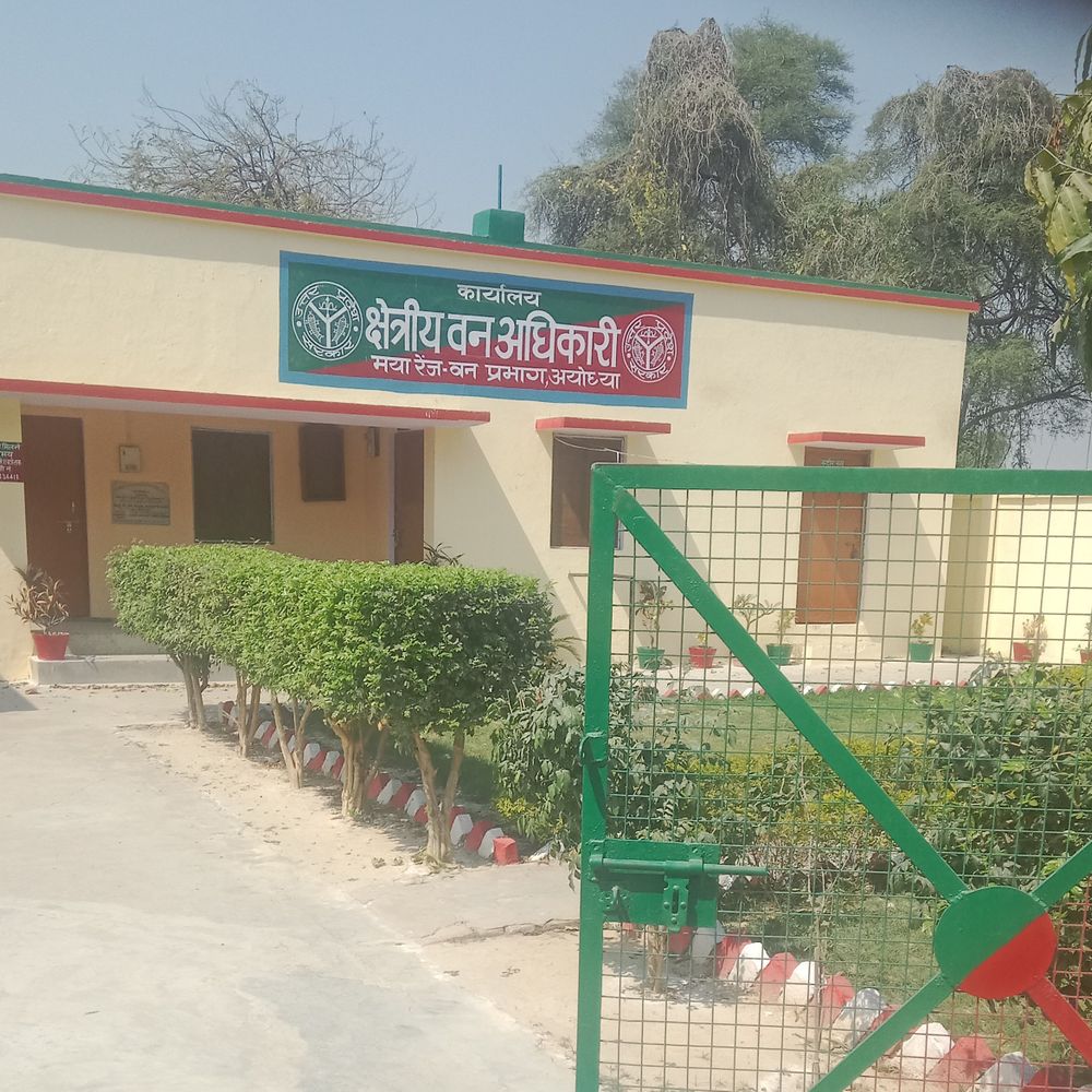 अयोध्या वन विभाग में एसडीओ पद 7 माह से खाली:विभागीय कार्य प्रभावित, शासन ने नहीं की स्थायी तैनाती