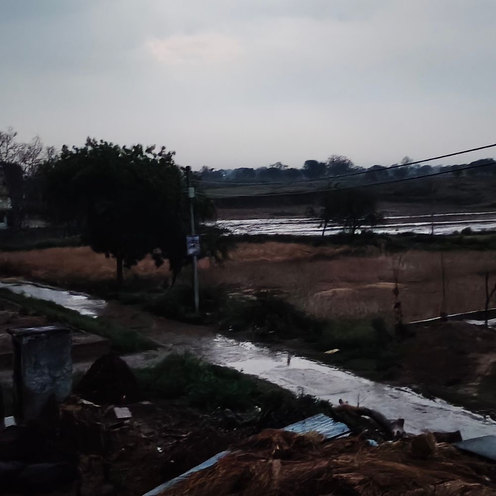 चित्रकूट में तेज आंधी-बारिश से फसल पर संकट:खेतों में खड़ी और कटी रबी फसल को भारी नुकसान की आशंका