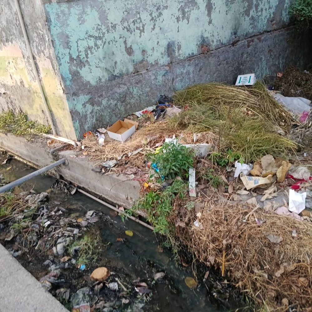 चंदौली के हरिशंकरपुर गांव में गंदगी का अंबार:ग्रामीणों ने नाली सफाई न होने पर जताया आक्रोश, गंदा पानी जमा हो रहा