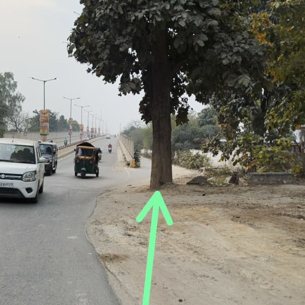 बरेली लाल फाटक पर पेड़ बना हादसों की वजह:परशुराम सेतु के पास सर्विस रोड पर दृश्यता बाधित