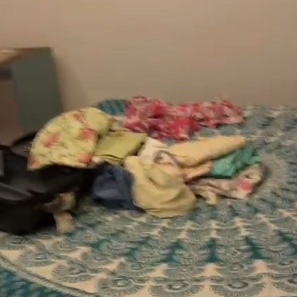 ग्रेटर नोएडा में बुजुर्ग महिला को नशीला पदार्थ सुंघाकर लूट:मेड बनकर आई महिला ने मंगलसूत्र, नकदी चुराई; एक घंटे बाद आया होश