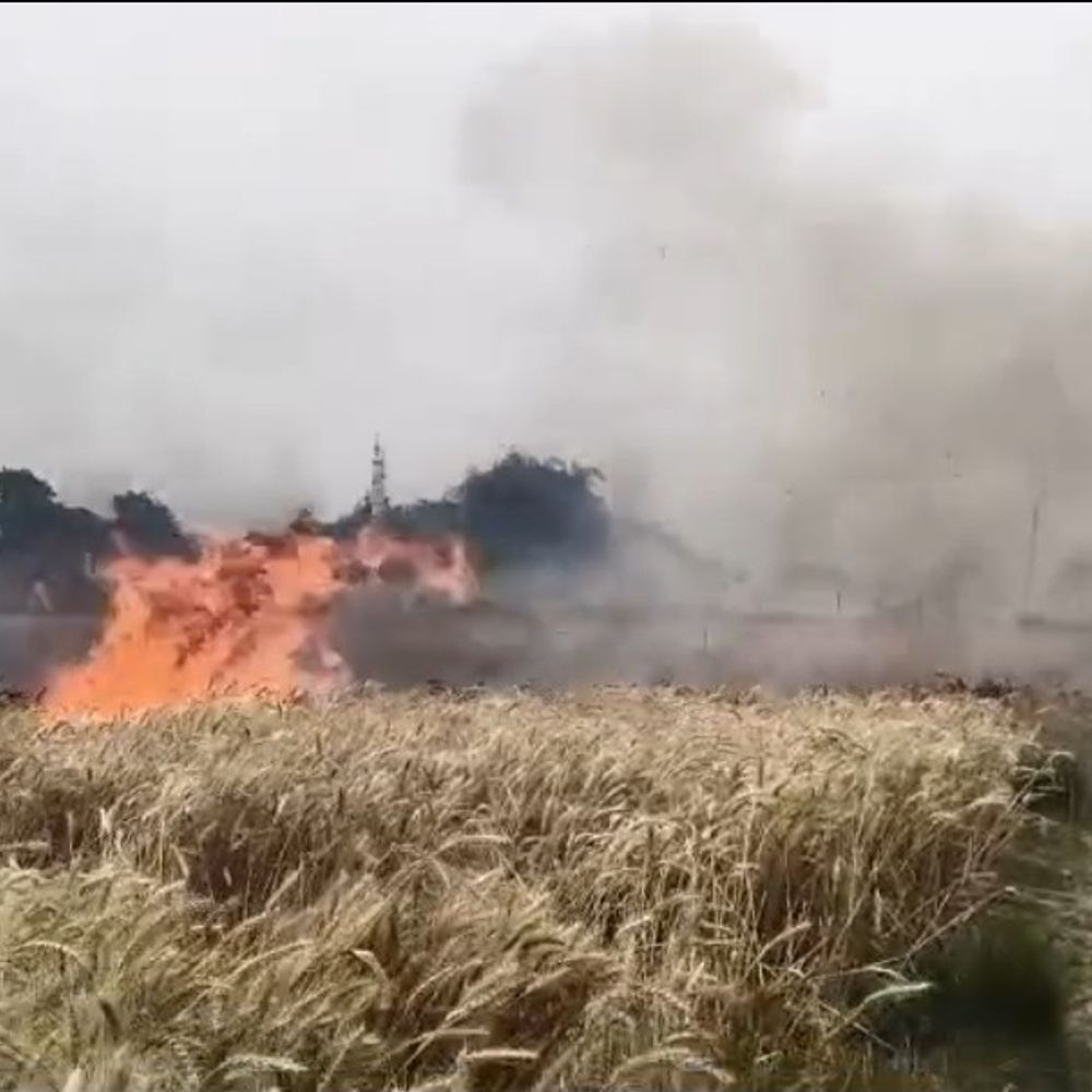 
                 बलरामपुर में खेतों में लगी भीषण आग, फसलें राख:गांव में कई एकड़ फसल जली, तेज हवा से आग और बढ़ी 
            