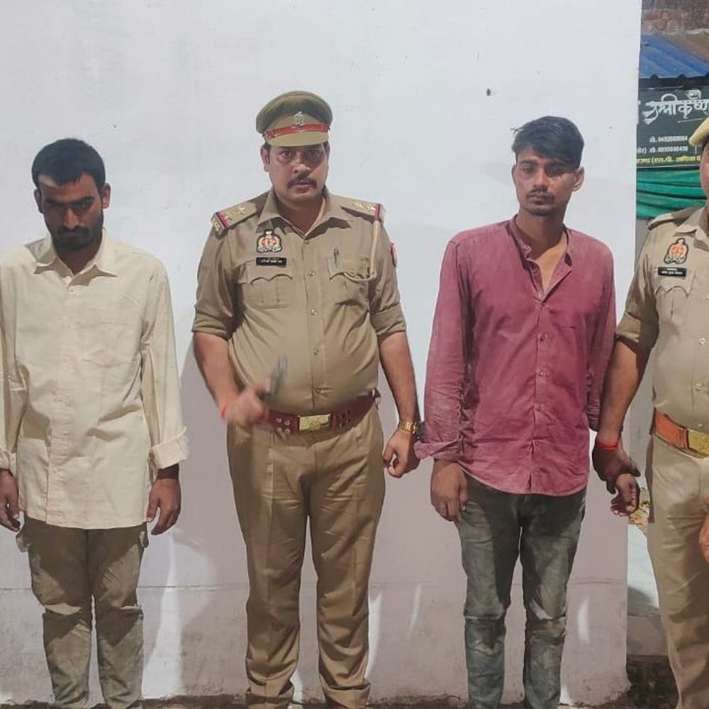 मिर्जापुर में 11 गोवंश बरामद, 2 गो-तस्कर गिरफ्तार:विंध्याचल पुलिस ने दो पिकअप वाहन किए सीज