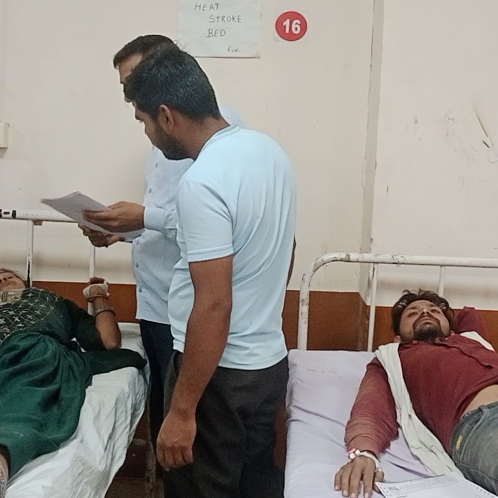 मधुमक्खियों के हमले से किसान घायल:  चूरू में गेहूं काटते समय हादसा, 5 साल की बच्ची समेत चार अस्पताल में भर्ती – Churu News