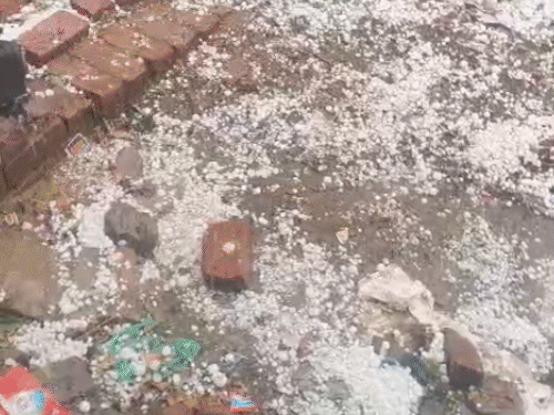 
                 आंधी-बारिश व ओले गिरे...आटो पर गिरा पेड़ चालक की मौत:कई जगहों पर पेड़ उखड़े, मौसम वैज्ञानिक बोले- 5 अप्रैल तक ऐसा ही मौसम रहेगा 
            