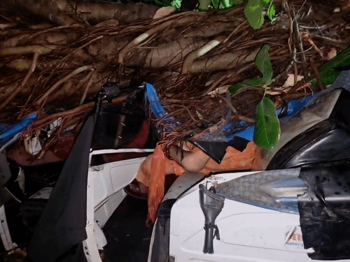 
                 कानपुर में आंधी-बारिश से 3 की मौत:पेड़ गिरने से ऑटो ड्राइवर और महिला की गई जान, ट्रक ने बैंककर्मी को रौंदा 
            