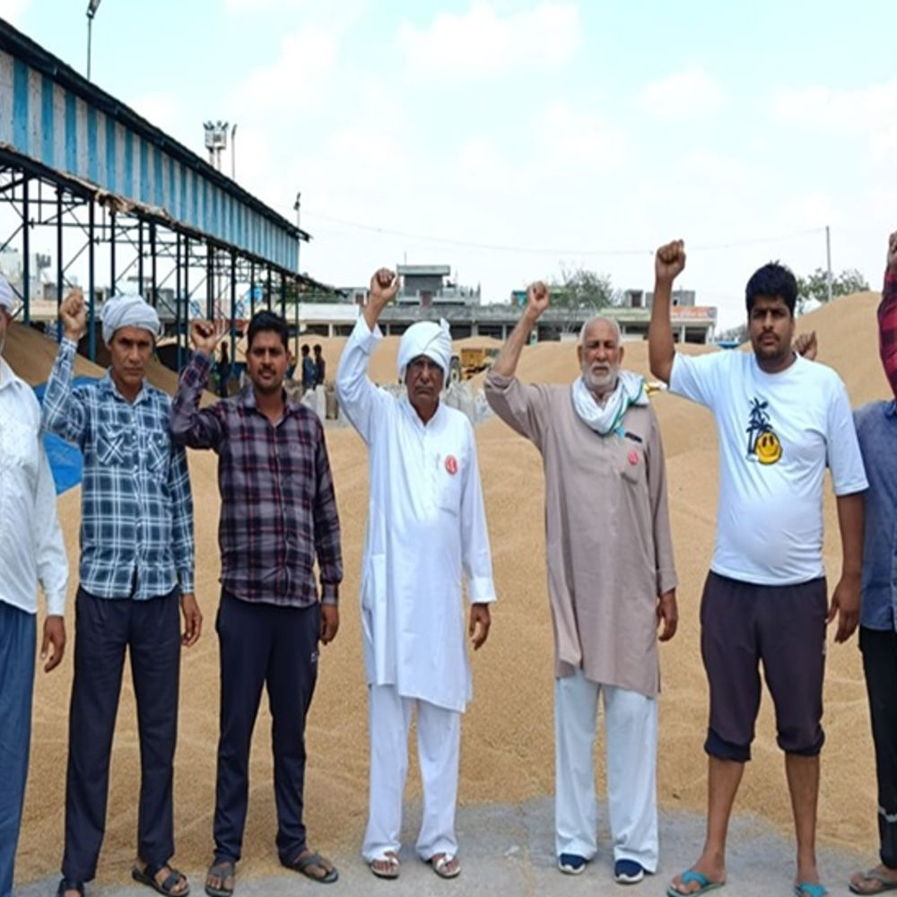 फसल खरीद के नए नियमों का किसानों ने किया विरोध:  रोहतक में मंडियों का किया दौरा, गेंहू का मिलान न होने से किसान परेशान – Rohtak News