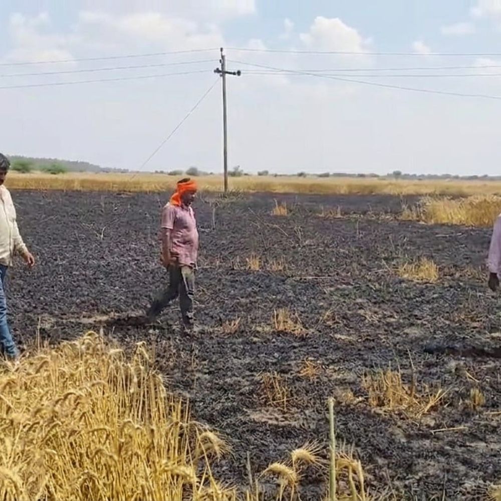 जर्जर तारों से चिंगारी निकलने से लगी आग:जालौन में 10 बीघा गेहूं की फसल जलकर राख, विभाग पर लापरवाही का आरोप