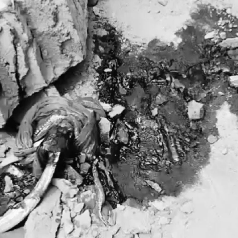 कॉम्प्लेक्स की दीवार गिरने के मामले में तीन पर केस:मकान मालिक, ठेकेदार और इंजीनियर पर कार्रवाई, दो की हुई थी मौत