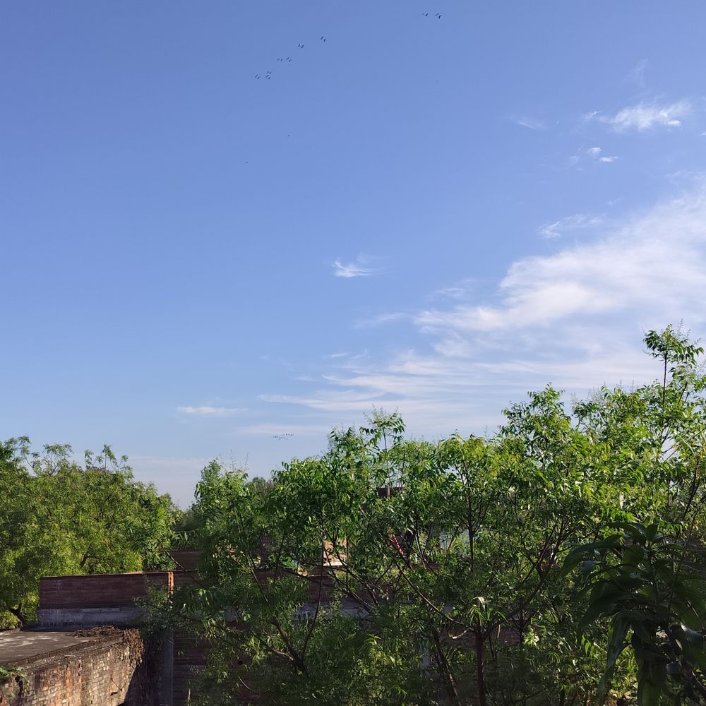 अयोध्या में हुई बारिश:तेज हवाएं चली, गेहूं, सरसों और आम की फसलों नुकसान