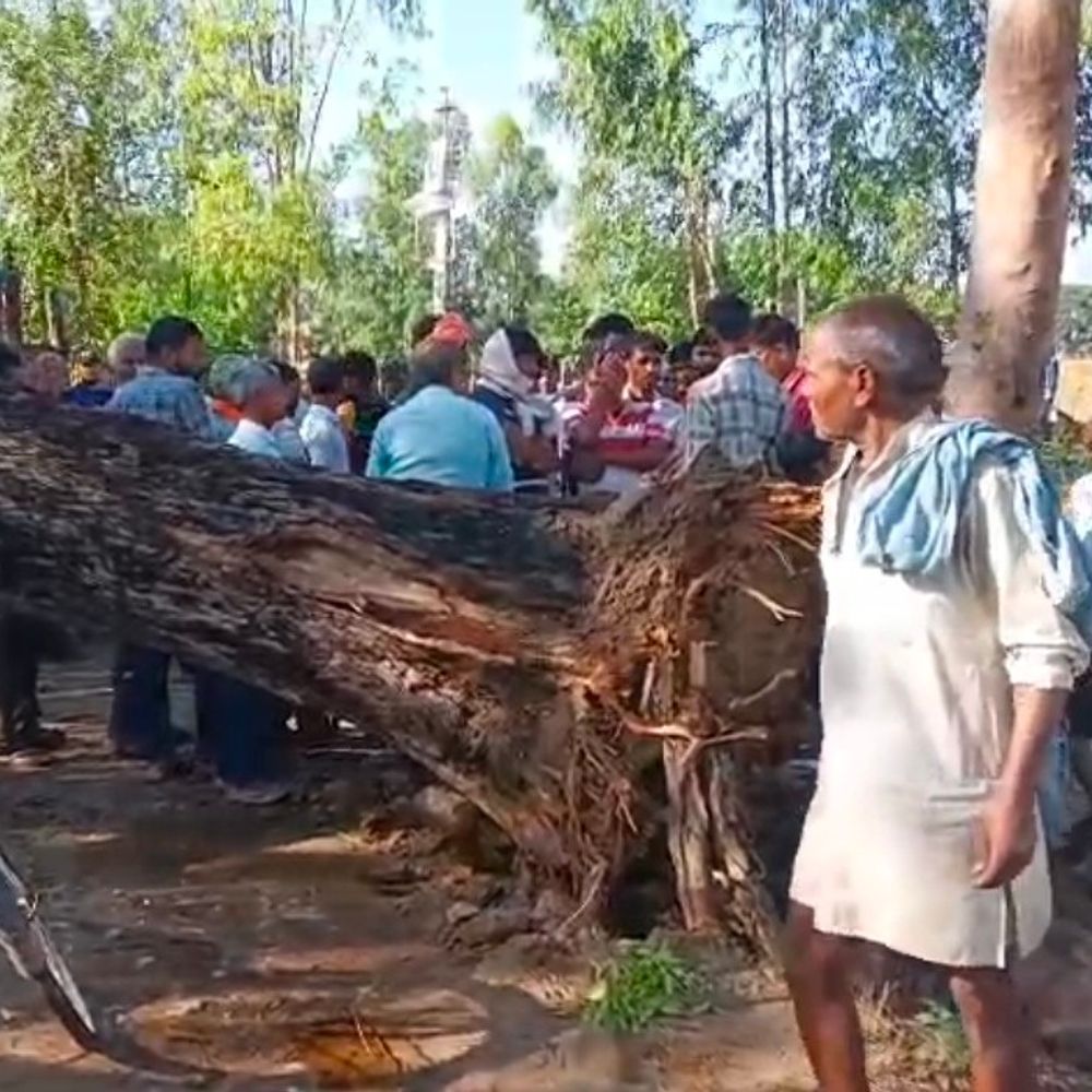 रायबरेली में पेड़ गिरने से अधेड़ की मौत:जानवरों को खोलने गए व्यक्ति पर गिरा नीम का पेड़