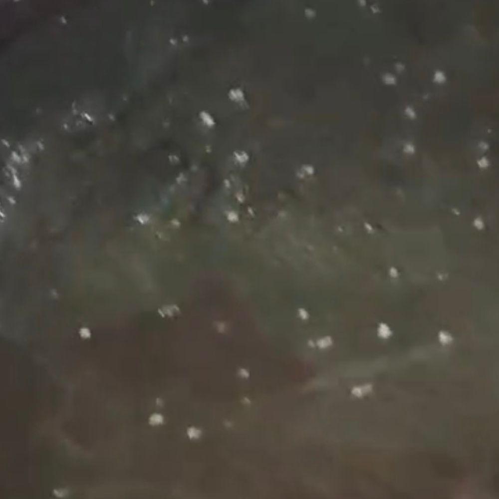 
                 बाराबंकी में बेमौसम बारिश, ओलावृष्टि:गेहूं, अफीम और सब्जियों की फसल हुई खराब, किसानों की चिंता बढ़ी 
            