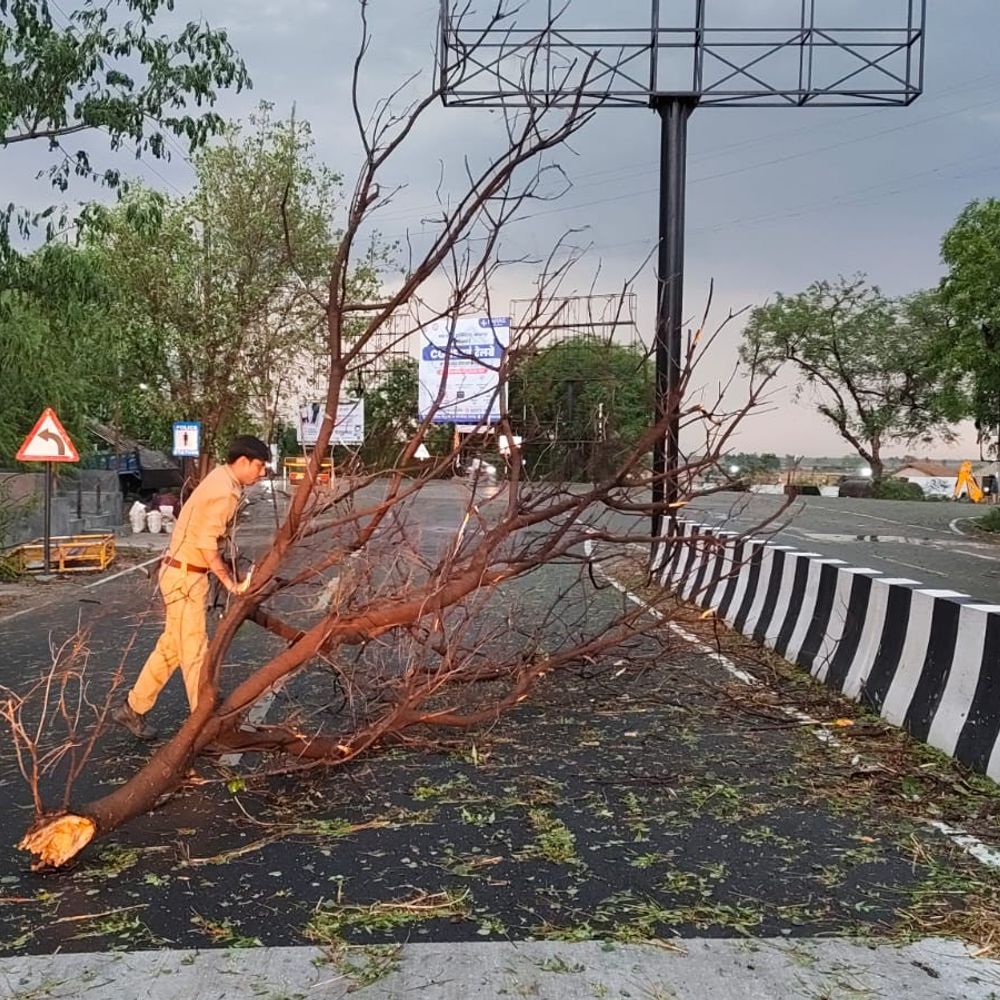 20 से ज्यादा पेड़ गिरे, बिजली-आपूर्ति 12 घंटे ठप:उन्नाव में अचानक बदले मौसम ने मचाई तबाही, गेंहू के खड़ी फसल बर्बाद