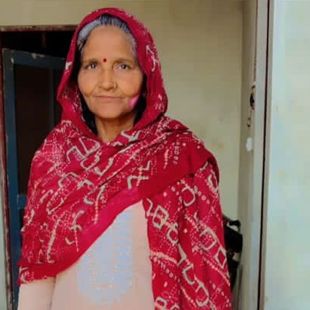 मेरठ में आवारा कुत्तों के हमले से महिला की मौत:जानी क्षेत्र के सिसोला गांव में दहशत का माहौल