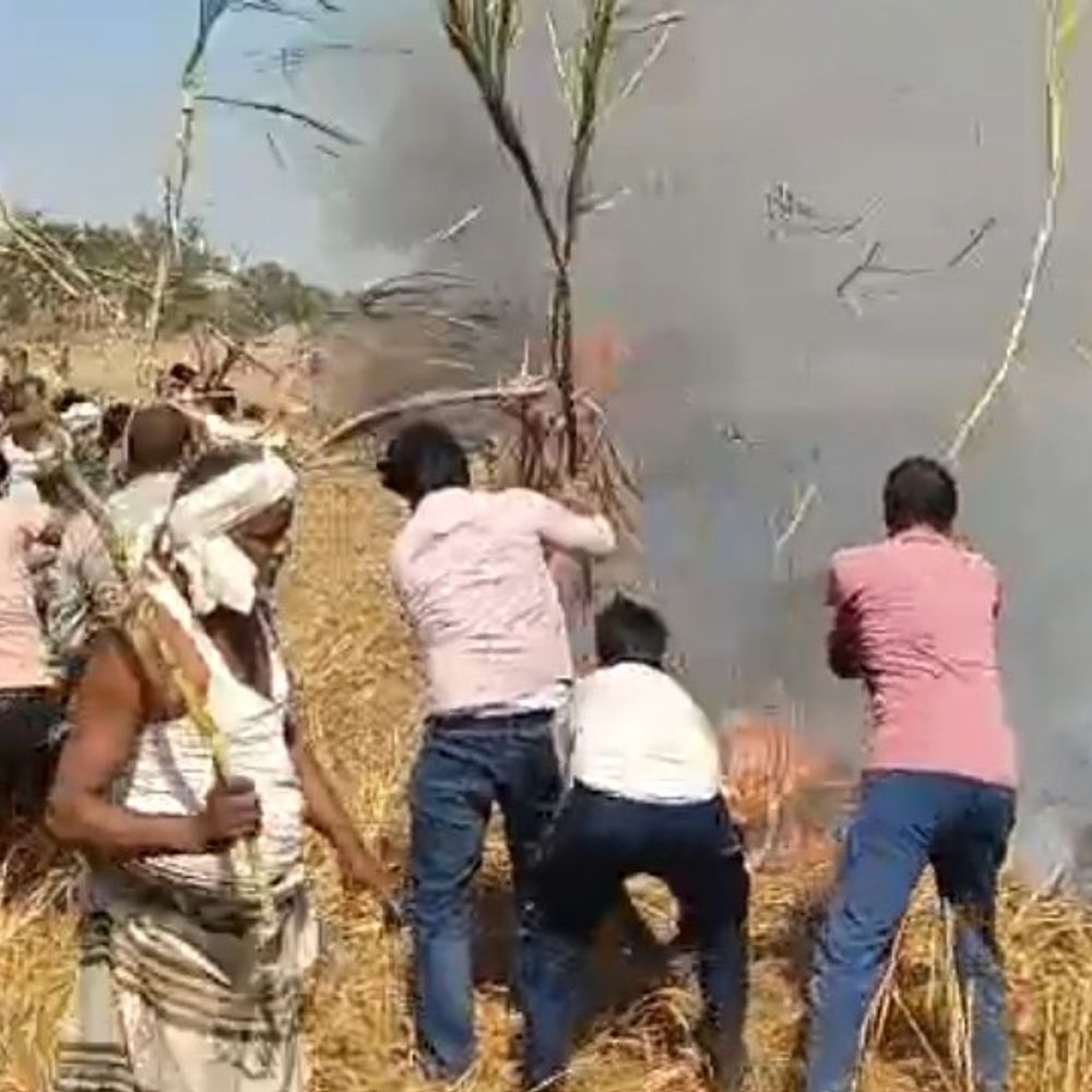 गेहूं की फसल में लगी आग:6 बिस्सा गेहूं जलकर हुआ राख, किसानों को भारी नुकसान, राजस्व टीम आकलन में जुटी