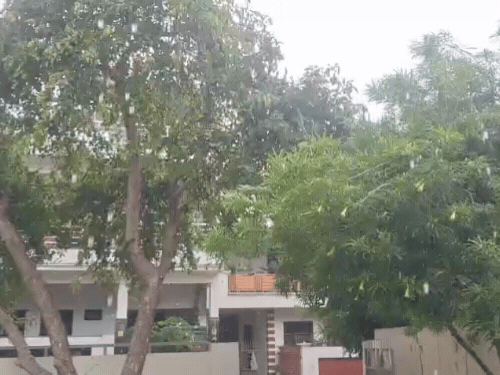 
                 आगरा में बारिश के बाद मौसम हुआ सुहाना:दोपहर बाद तेज हवाओं के साथ बदला मौसम, दिन के तापमान में 5 डिग्री गिरा 
            