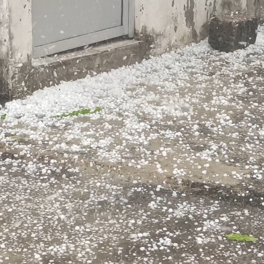 जालौन में दूसरे दिन भी बारिश-ओलावृष्टि:30 मिनट तक गिरे ओले, गेहूं-चना की फसल बर्बाद