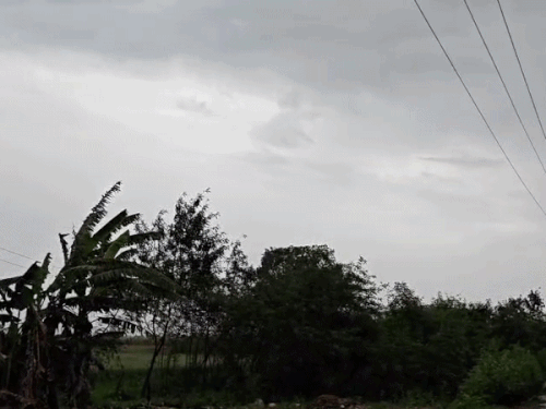 
                 मेरठ में सुबह से ही बदला मौसम का मिजाज:पहले हुई बूंदाबांदी उसके बाद आसमान में खिली धूप, तापमान में आई गिरावट 
            