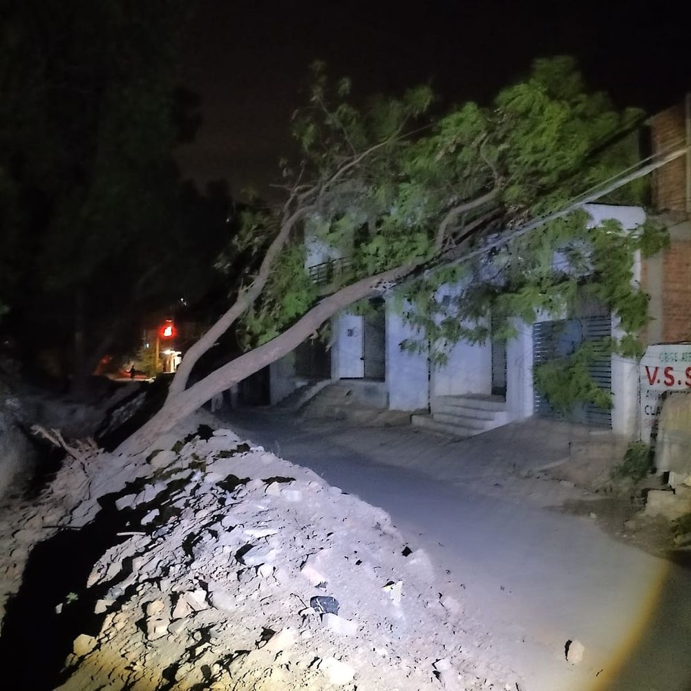 अंबेडकरनगर में आंधी-बारिश, गेहूं फसल को नुकसान:10 घंटे बिजली गुल; अकबरपुर मार्ग पर पेड़ गिरने से आवागमन बाधित