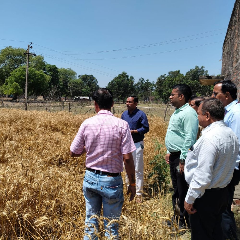 उन्नाव में बारिश से फसलों को नुकसान:ADM ने किया स्थलीय निरीक्षण, मुआवजे का आश्वासन दिया