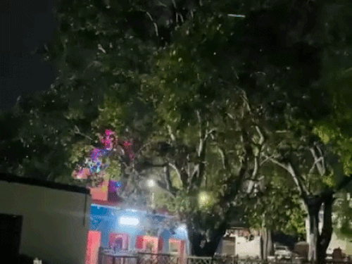 
                 प्रयागराज में रातभर चली आंधी, सुबह निकली तेज धूप:धूप निकलने से किसानों को राहत, फिर बदल सकता है मौसम 
            