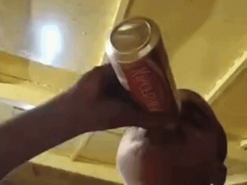 
                 गंगा में बीयर पीने का विडियो आया सामने:बाधवा लेकर अदलपुरा धाम जा रहे थे नाविक, पुलिस मामले की जांच में जुटी 
            