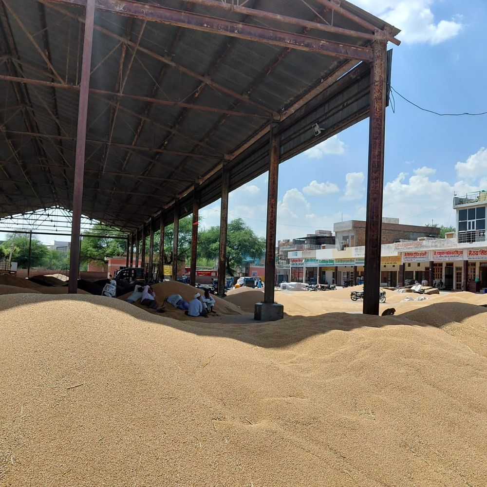 उचाना मंडी में किसानों के हित में सभी व्यवस्थाएं सुनिश्चित:  1073 गेट पास कटे, 85 हजार क्विंटल गेहूं पहुंचा, 60 कर्मचारियों की नियुक्ति – Uchana News