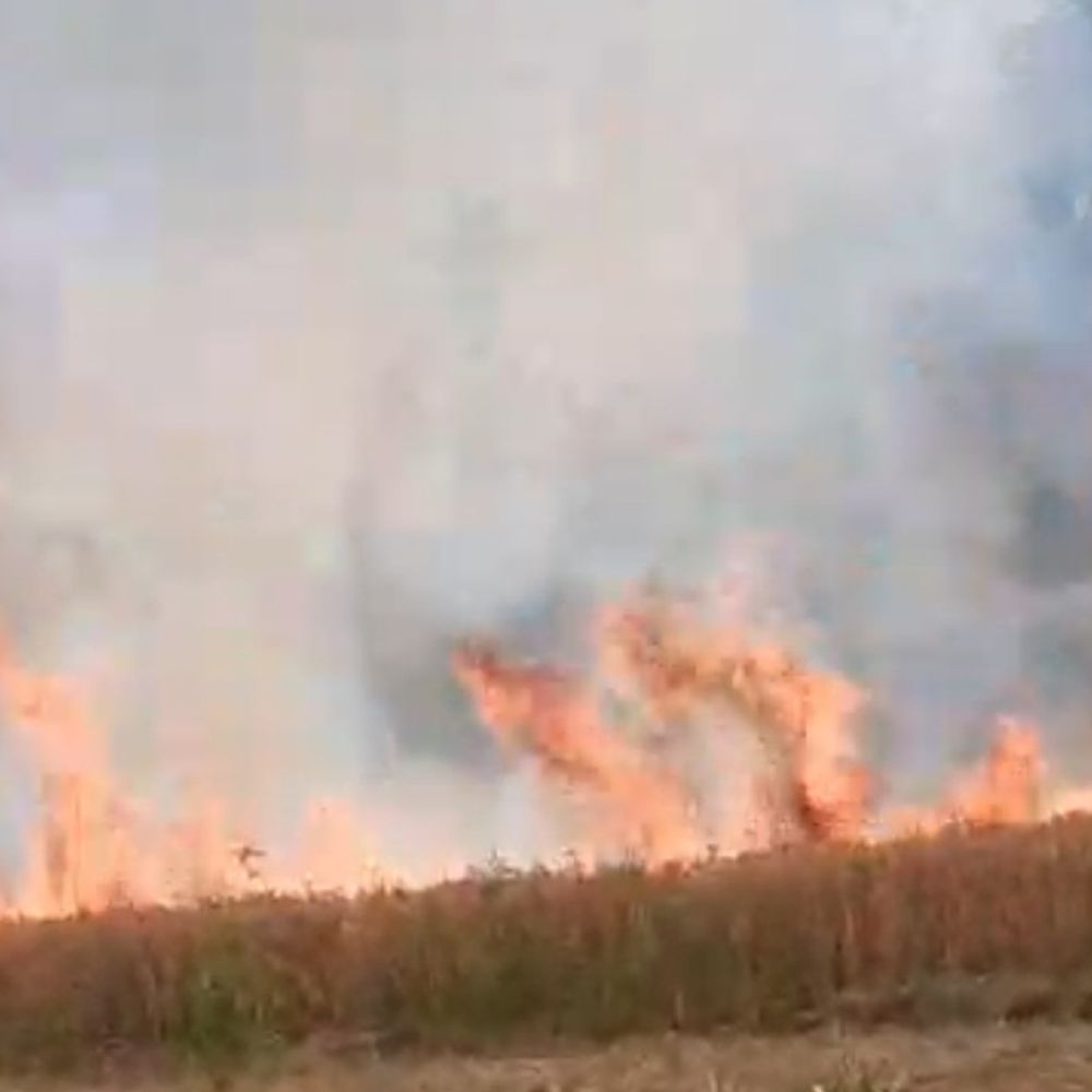 संभल में हाईटेंशन लाइन से गेहूं की फसल जली:कई गांवों में 30 बीघा से अधिक फसल जलकर राख, किसानों को नुकसान