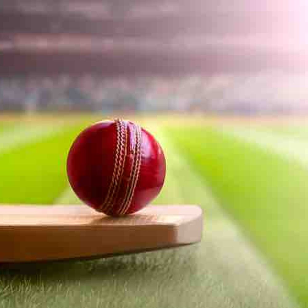 
                 साउथ जिमखाना ने सोनेट क्लब को हराया:कानपुर केडीएमए लीग में अनुज श्रीवास्तव ने झटके 6 विकेट 
            