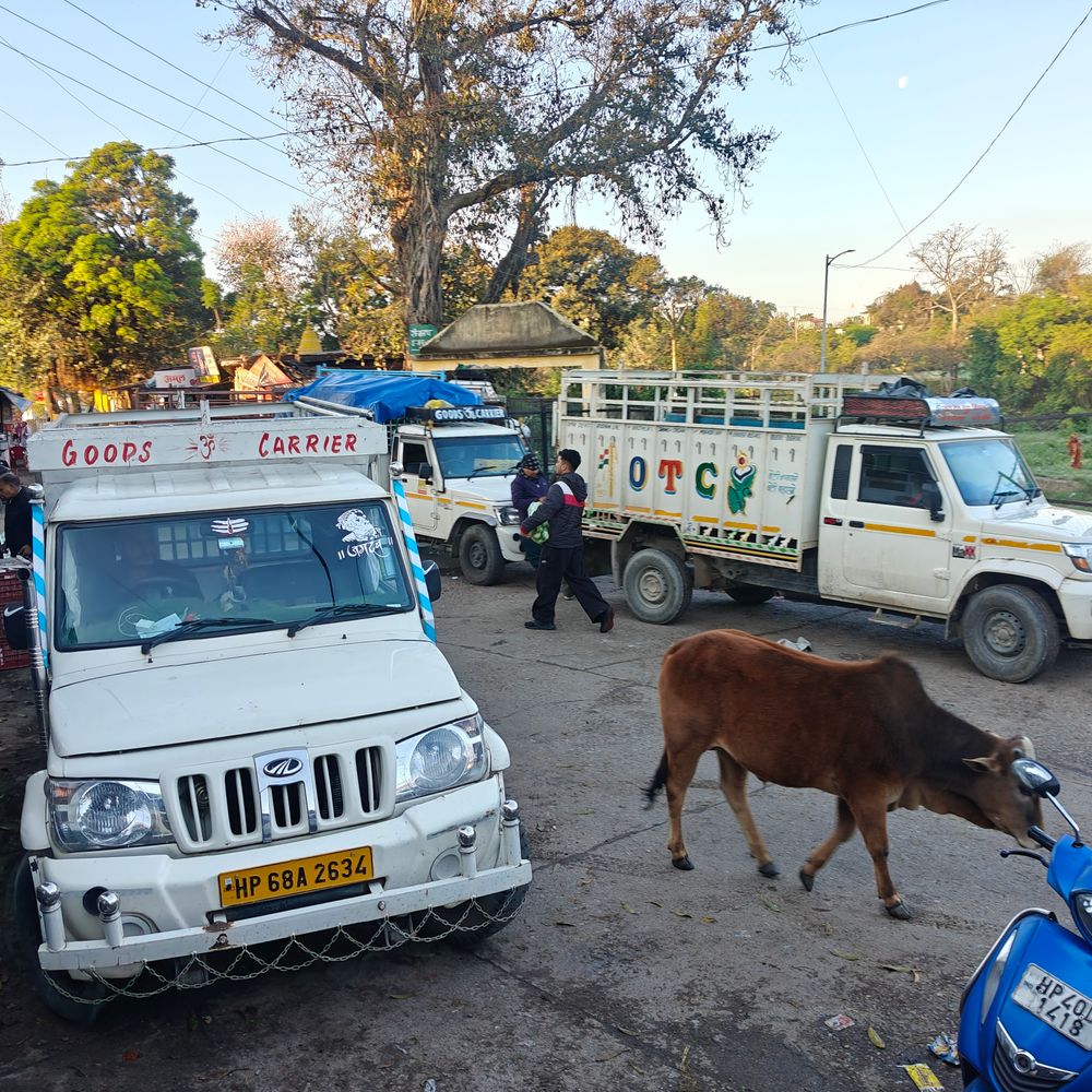 कांगड़ा में अनिश्चितकालीन हड़ताल पर ट्रांसपोर्टर:  ऑटोमेटेड टेस्टिंग स्टेशन का विरोध, बस-ट्रक के पहिए रहेंगे जाम, निजी स्कूलों ने की छुट्टी – Kangra News