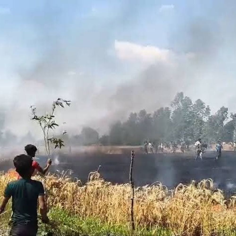 सीतापुर में आग से किसान की 5 बीघा फसल जली:ग्रामीणों ने आग बुझाई, प्रशासन ने नुकसान का आकलन शुरू किया