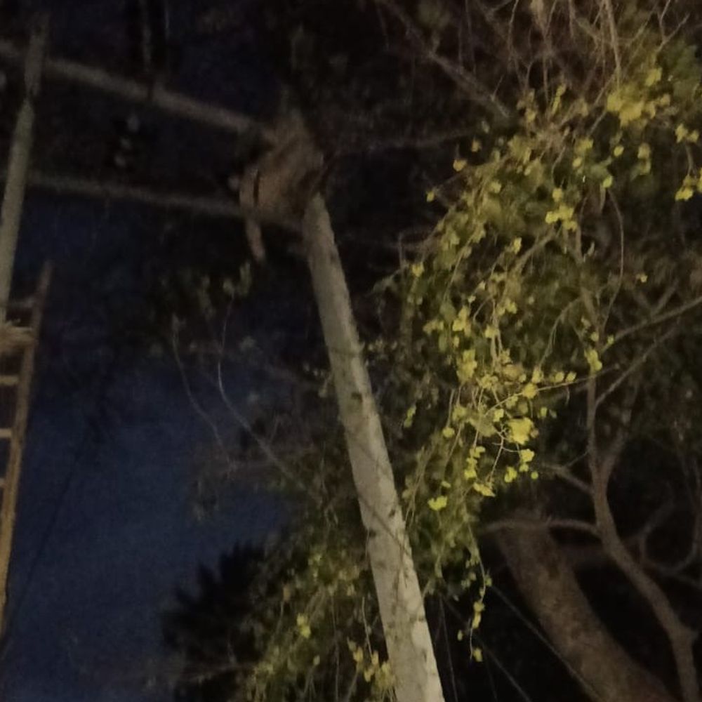 उन्नाव में आंधी-बारिश से 40 घंटे बिजली ठप:पेड़ गिरने से यातायात बाधित, फसलों को भी नुकसान